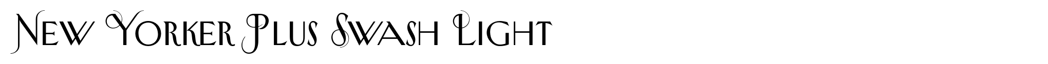 New Yorker Plus Swash Light image